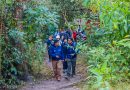 DIRECCIÓN DESCONCENTRADA DE CULTURA DE CUSCO REABRE LA RUTA CHACHABAMBA A WIÑAYWAYNA DE LA RED DE CAMINOS INKA