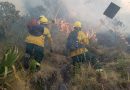 DIRECCIÓN DESCONCENTRADA DE CULTURA DE CUSCO ACTIVA ALERTA PARA PROTEGER EL PATRIMONIO FRENTE A INCENDIOS FORESTALES