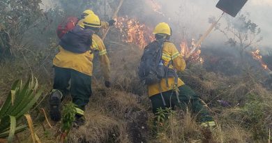 DIRECCIÓN DESCONCENTRADA DE CULTURA DE CUSCO ACTIVA ALERTA PARA PROTEGER EL PATRIMONIO FRENTE A INCENDIOS FORESTALES