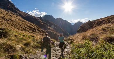 Ministerio de Cultura inicia el proceso de venta de boletos de ingreso a la Red de Caminos Inka y a la Llaqta Inka de Machupicchu para el 2026 Ministerio de Cultura inicia el proceso de venta de boletos de ingreso a la Red de Caminos Inka y a la Llaqta Inka de Machupicchu para el 2026
