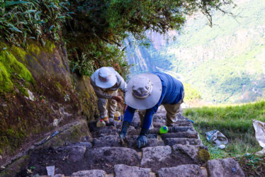 CULTURA CUSCO ANUNCIA QUE DESDE EL 1 DE JULIO, SE REINICIA VISITA DE TURISTAS A LA MONTAÑA WAYNAPICCHU   