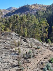 INCENDIO EN EL SECTOR DE QESPEWARA DE SAQSAYWAMAN NO AFECTÓ AL PATRIMONIO CULTURAL