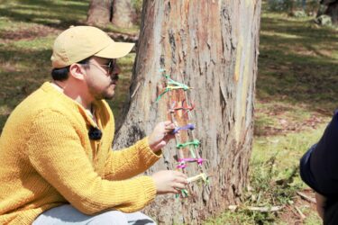 CULTURA CUSCO FORTALECE PARTICIPACIÓN DE AGENTES CULTURALES EN LOS ESTÍMULOS ECONÓMICOS PARA LA CULTURA 2026