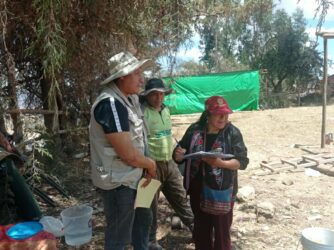 CULTURA CUSCO INTERVIENE CUATRO CONSTRUCCIONES CLANDESTINAS EN EL PARQUE ARQUEOLÓGICO DE SAQSAYWAMAN