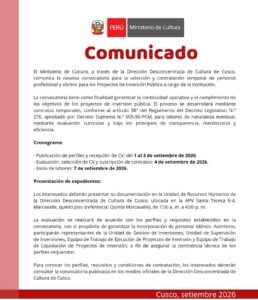 CONSOLIDADO PERFILES CONVOCATORIA 009 SETIEMBRE 2026.